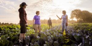 Ledencommunicatie bij Herenboerderij t Tullse Veld met community app van Socie